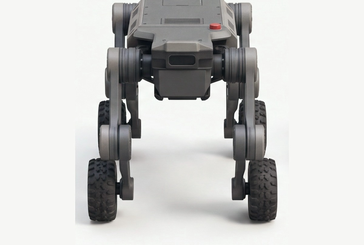 HOUND rear view